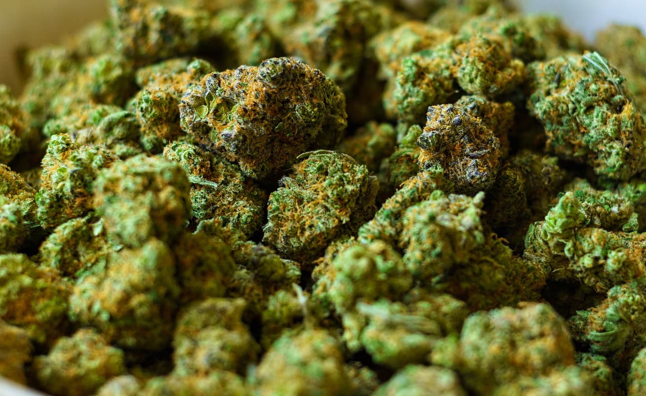 Buy Marijuana Buds UK: Understanding the Difference Between THC and CBD
