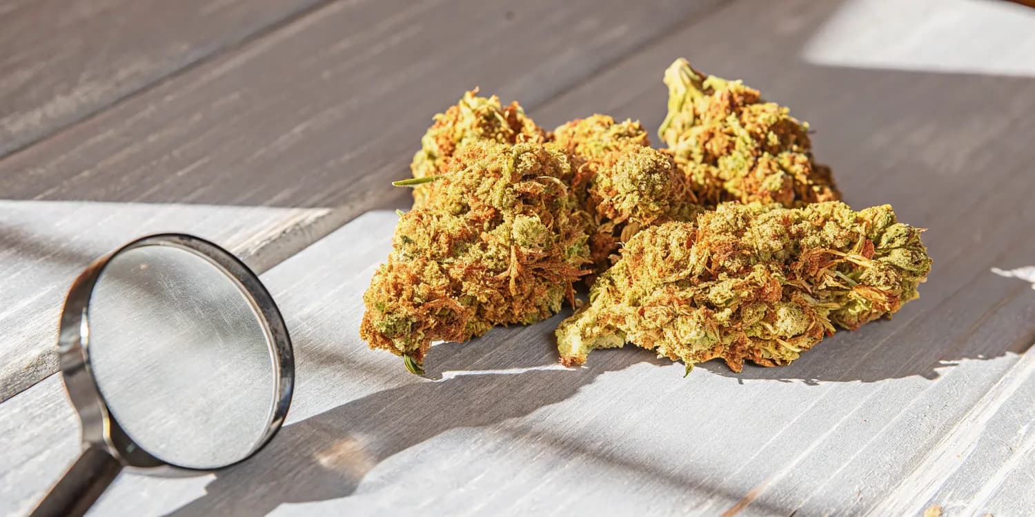 thca Products Online at Delta 8 THC Austin – The Purest Hemp Experience in Texas