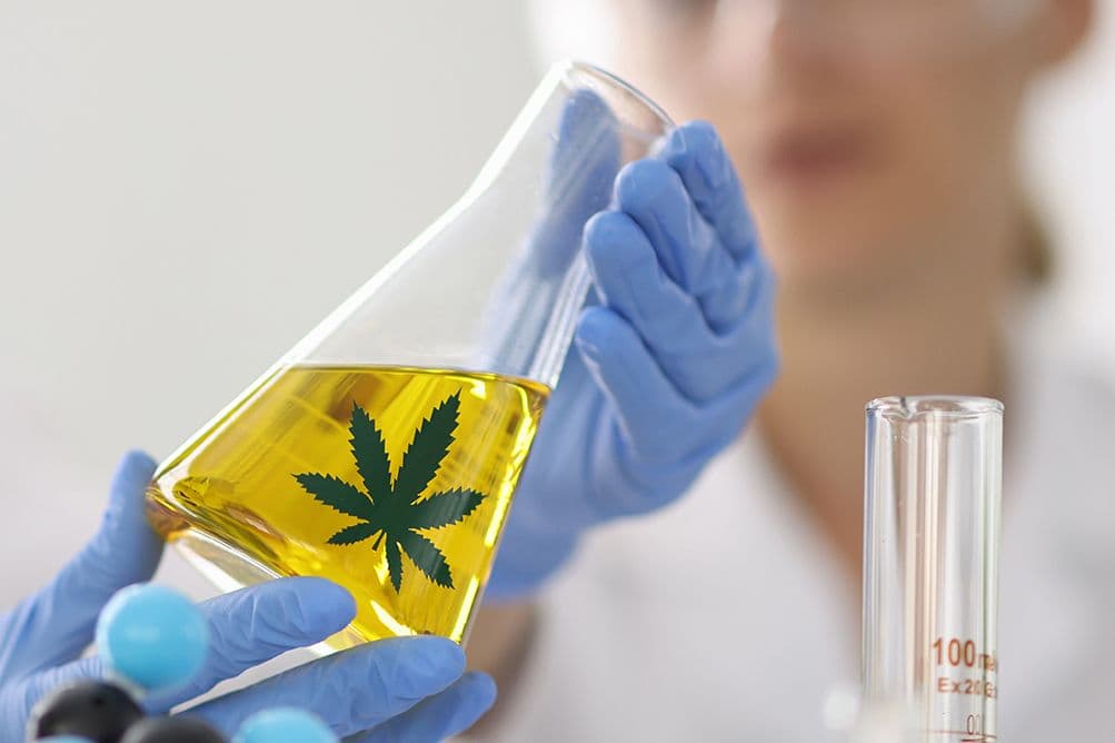 Chem50 Guide: Research Chemical Cannabinoid for Scientific Research