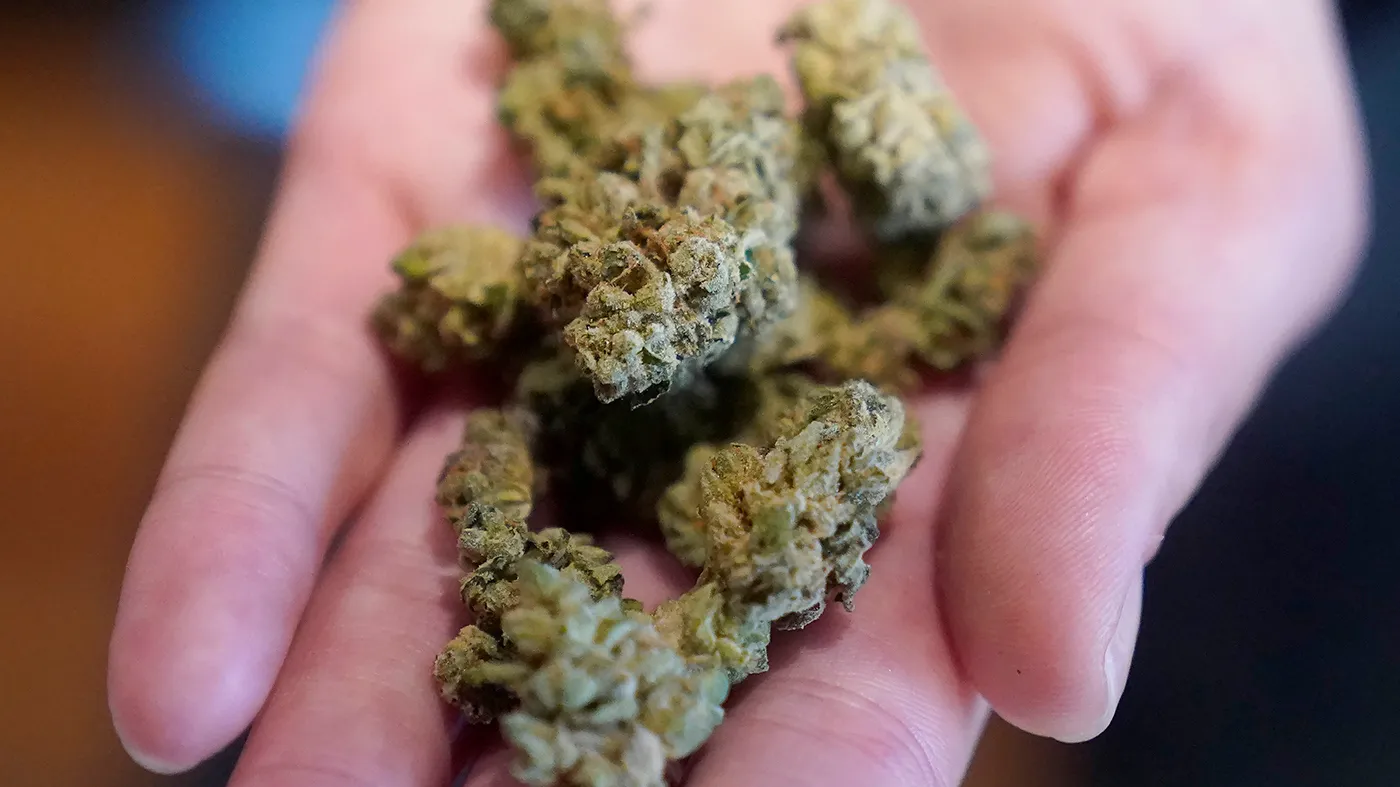 High-Quality Cannabis Products Only at Europe’s #1 Legal Marijuana Dispensary EU
